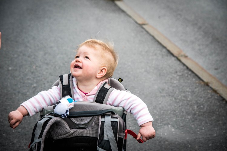 Swiss Family Purler 1011 - 20150920