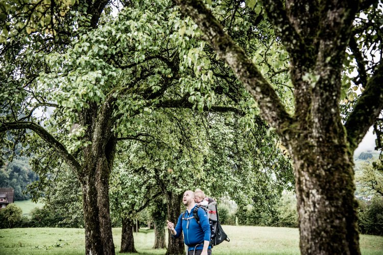 Swiss Family Purler 1042 - 20150920