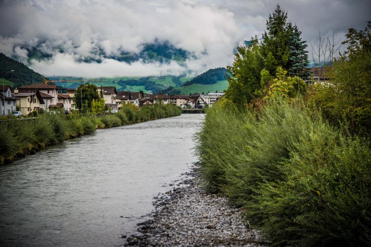 Swiss Family Purler 1045 - 20150920