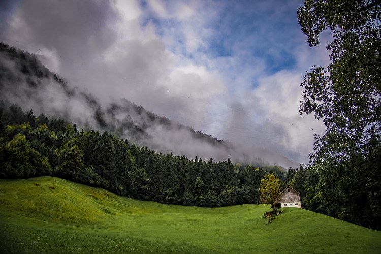 Swiss Family Purler 1062 - 20150920