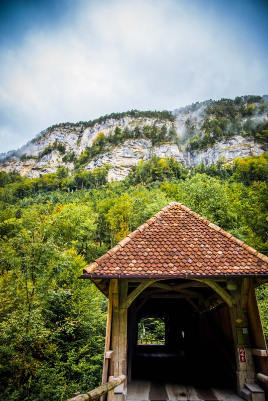 Swiss Family Purler 1066 - 20150920