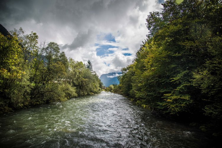 Swiss Family Purler 1107 - 20150920