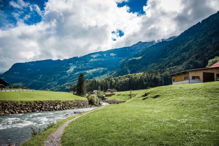 Swiss Family Purler 1157 - 20150920