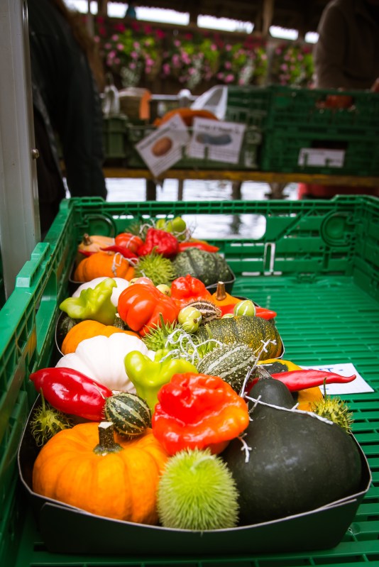 Swiss Family Purler Arrival 0282 - 20150906-2