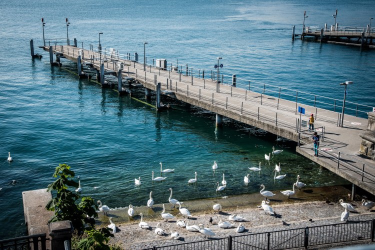 Swiss Family Purler Arrival 0532 - 20150908