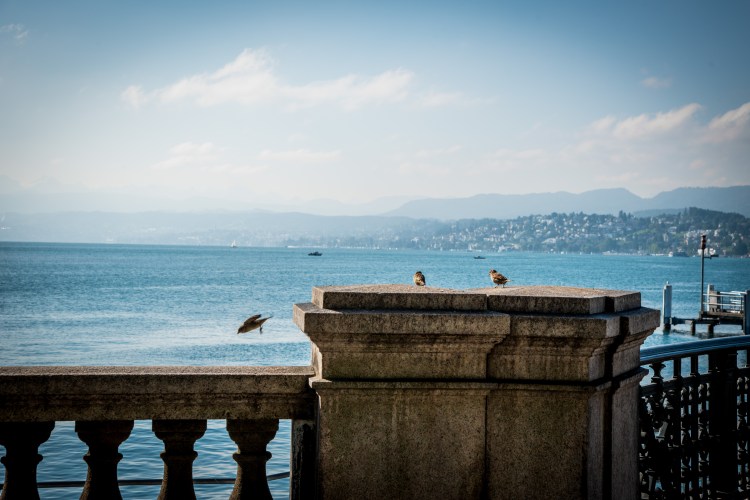 Swiss Family Purler Arrival 0542 - 20150908