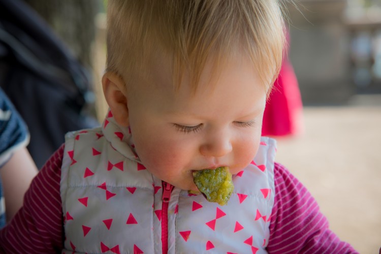 Swiss Family Purler Arrival 0546 - 20150908