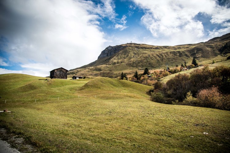 Alpabzug Day0040 - 20151003