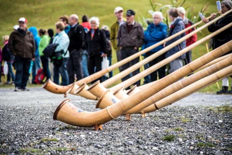 Alpabzug Day0047 - 20151003