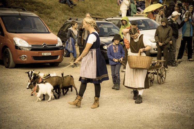 Alpabzug Day0139 - 20151003