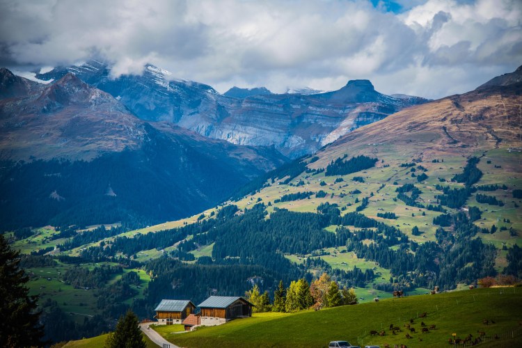 Alpabzug Day0152 - 20151003