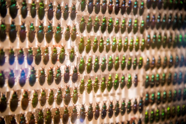 Fall in Luzern 0204 - 20151018