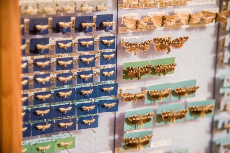 Fall in Luzern 0211 - 20151018