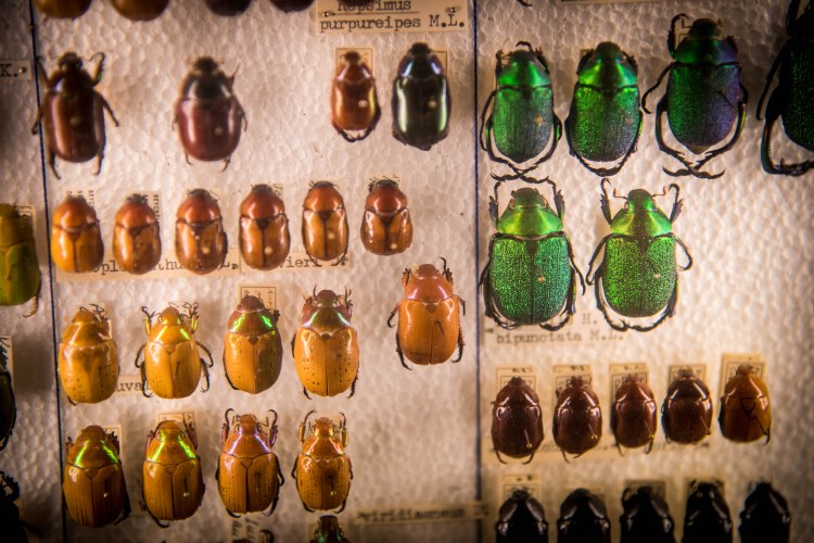 Fall in Luzern 0218 - 20151018