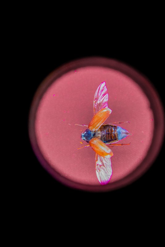 Fall in Luzern 0227 - 20151018