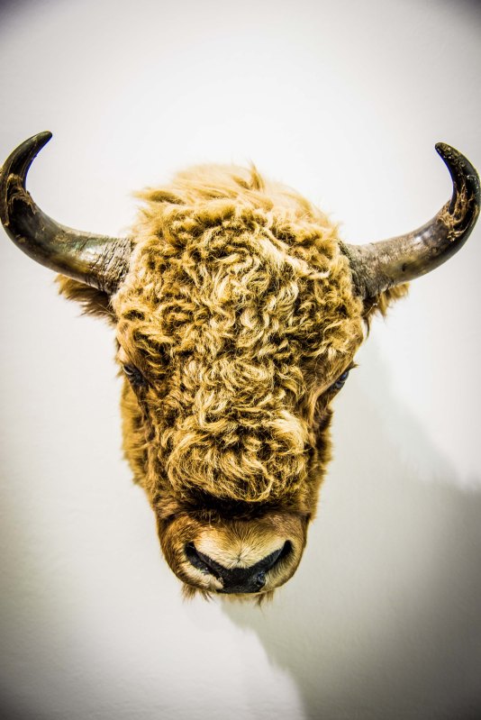 Fall in Luzern 0228 - 20151018