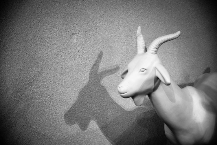 Fall in Luzern 0234 - 20151018