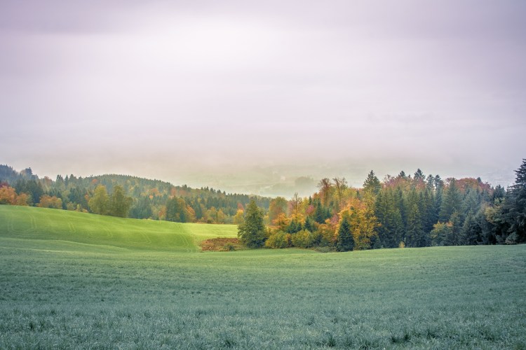 Fall in Luzern 0250 - 20151018