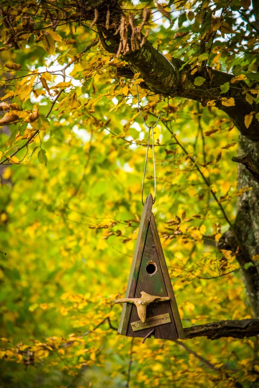 Fall in Rotkreuz 0015 - 20151011