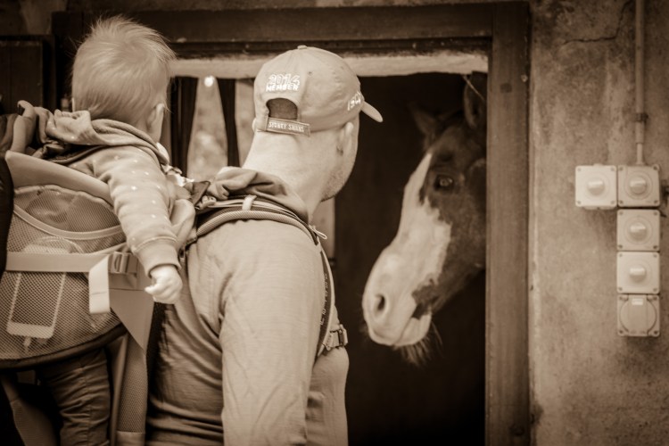 Fall in Rotkreuz 0028 - 20151011