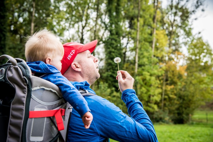 Fall in Rotkreuz 0031 - 20151011