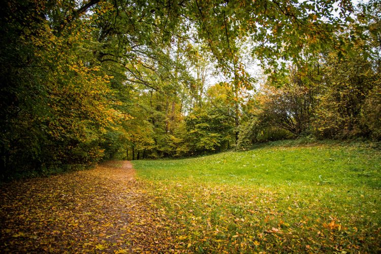 Fall in Rotkreuz 0090 - 20151011