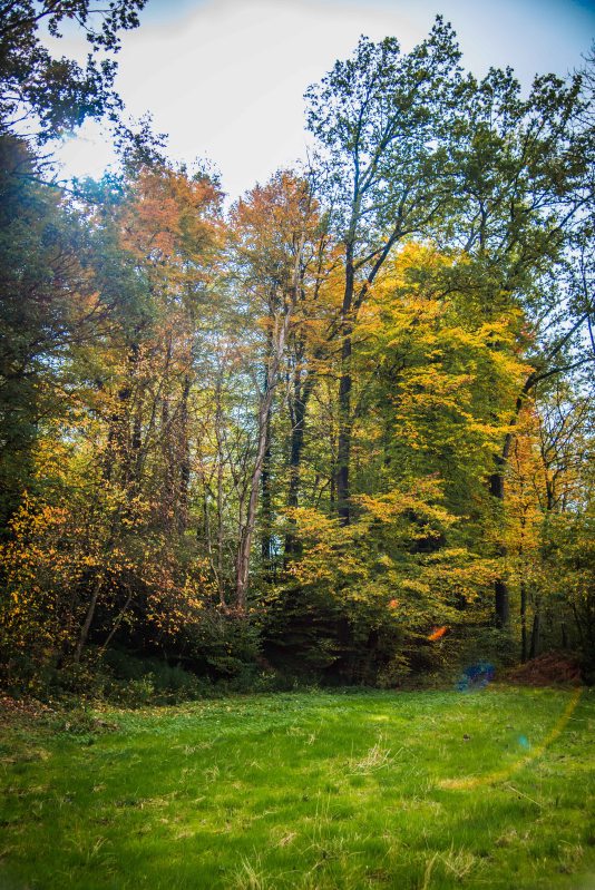 Fall in Rotkreuz 0127 - 20151011