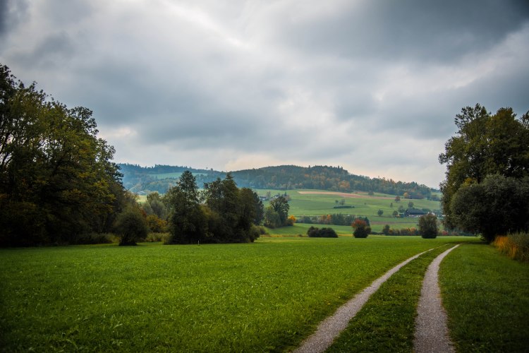 Fall in Rotkreuz 0128 - 20151011