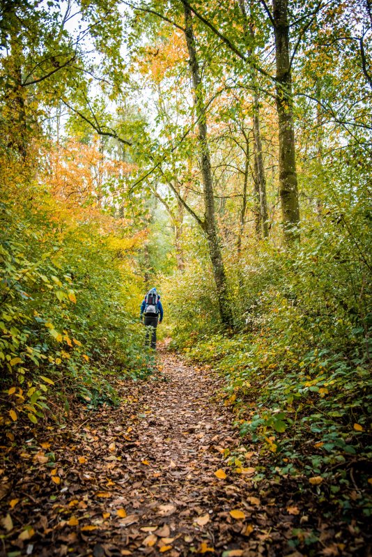 Fall in Rotkreuz 0134 - 20151011