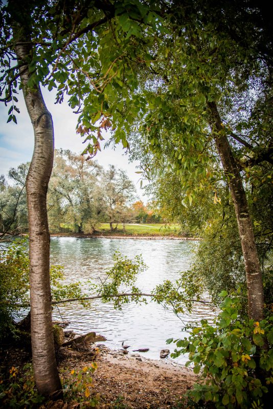 Fall in Rotkreuz 0140 - 20151011