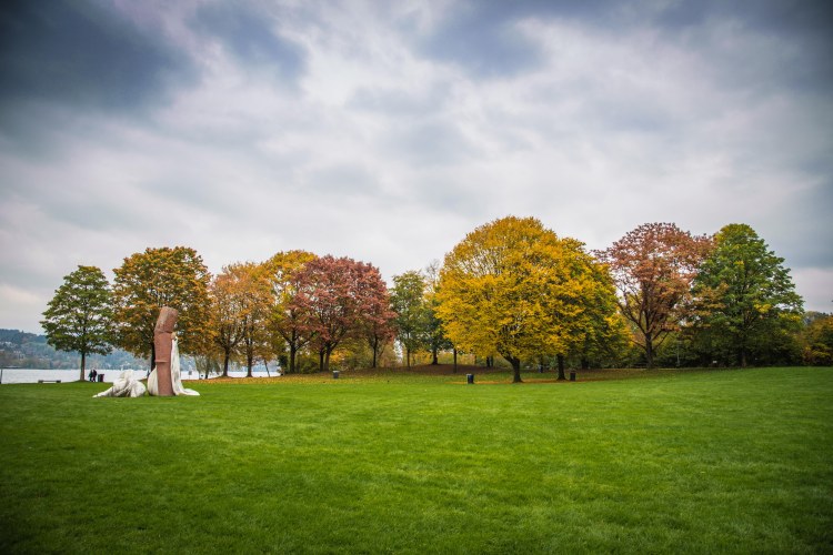 Fall in Rotkreuz 0173 - 20151011