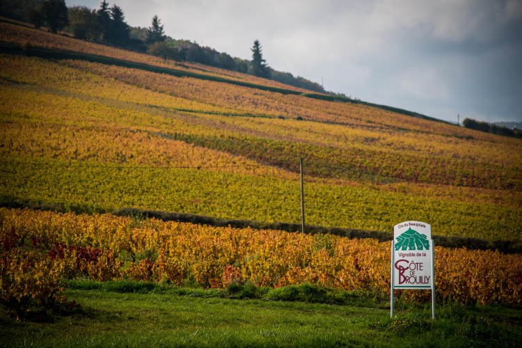 Lyon & Geneva 0160 - 20151025