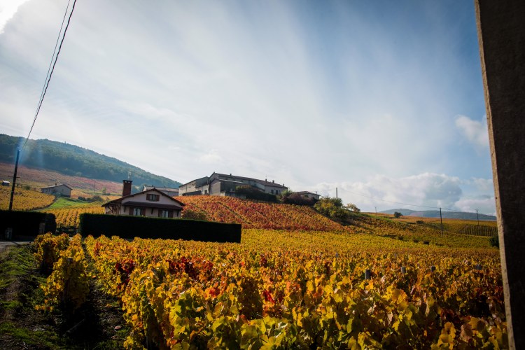 Lyon & Geneva 0169 - 20151025