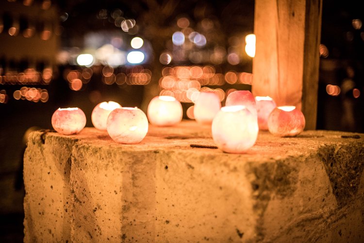 Auntie Loz's Visit 0035 - 20151116