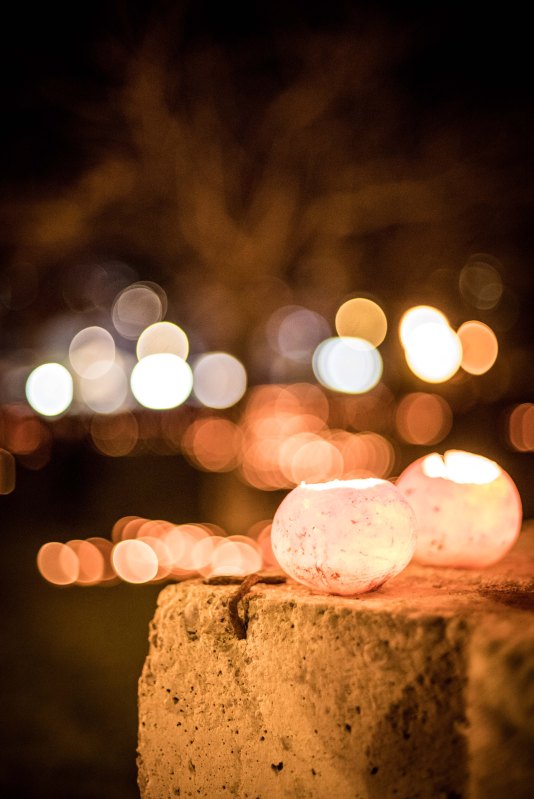 Auntie Loz's Visit 0037 - 20151116