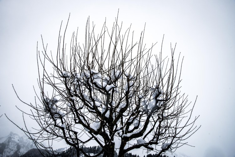 Engelberg 0036 - 20151129