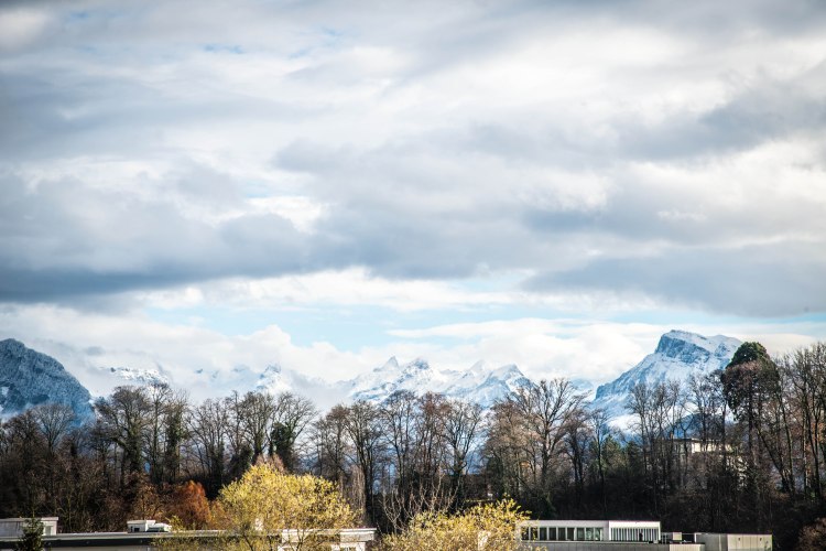 First Snow Fall 0004 - 20151122