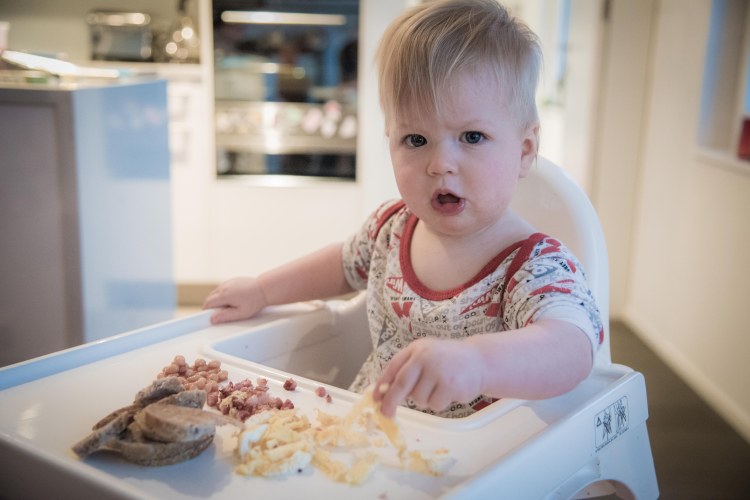 First Snow Fall 0024 - 20151122