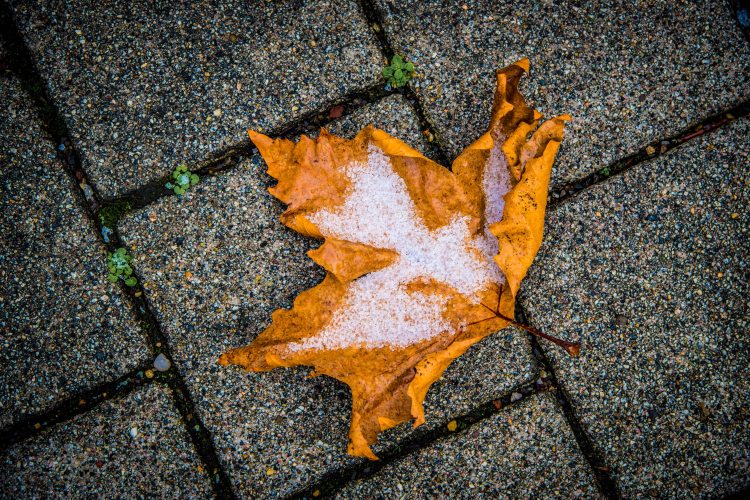 First Snow Fall 0094 - 20151122