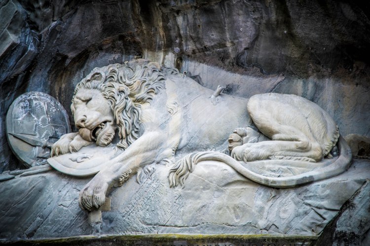 First Snow Fall 0125 - 20151122