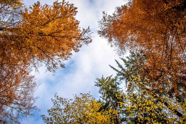 Zurich 0015 - 20151102