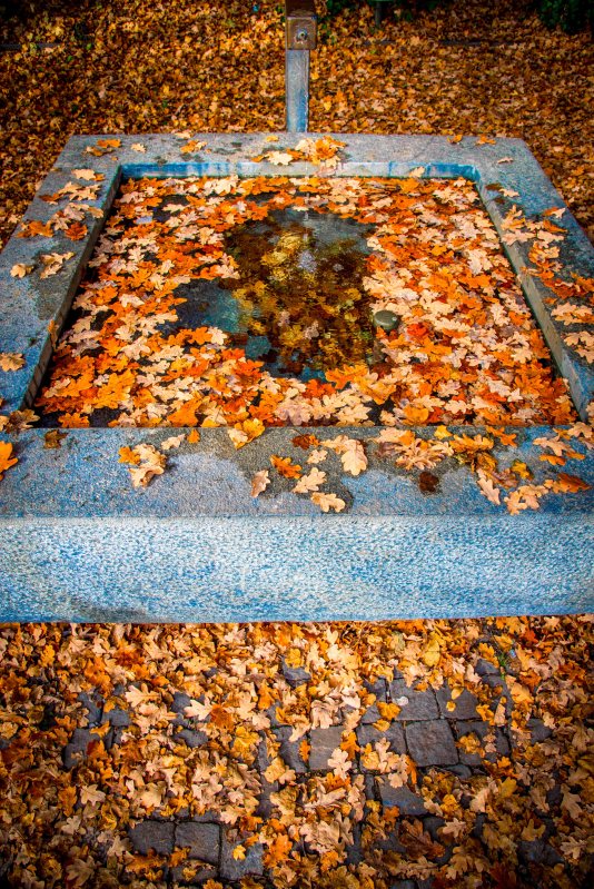 Zurich 0027 - 20151102