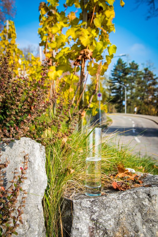 Zurich 0029 - 20151102