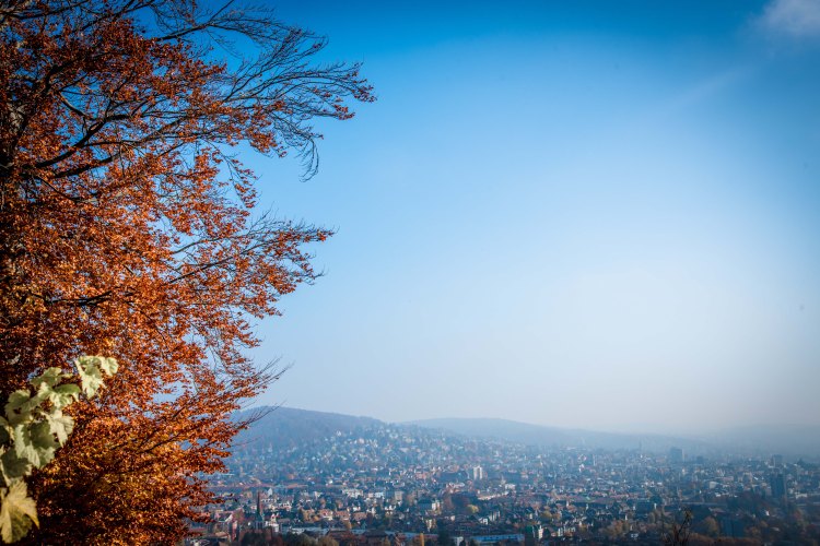 Zurich 0031 - 20151102