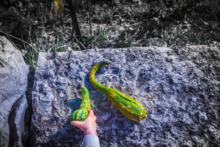 Zurich 0040 - 20151102