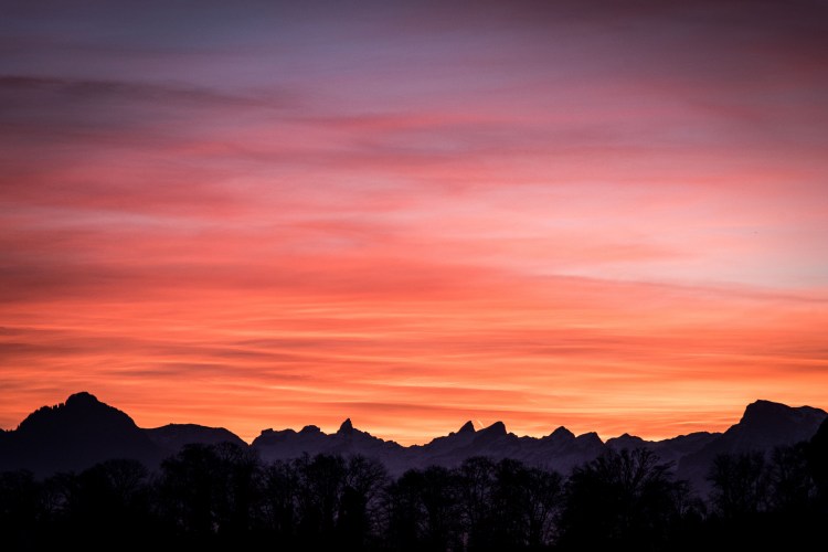 1st Swiss Xmas 0013 - 20151230