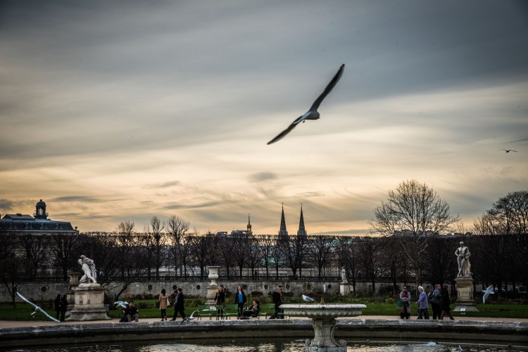 Dijon 0525 - 20151220