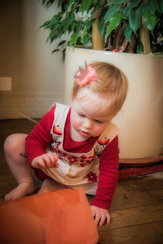 Dijon 0679 - 20151220