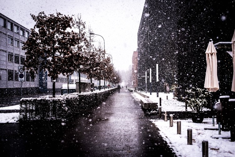 1st Toboggan 0099 - 20160120