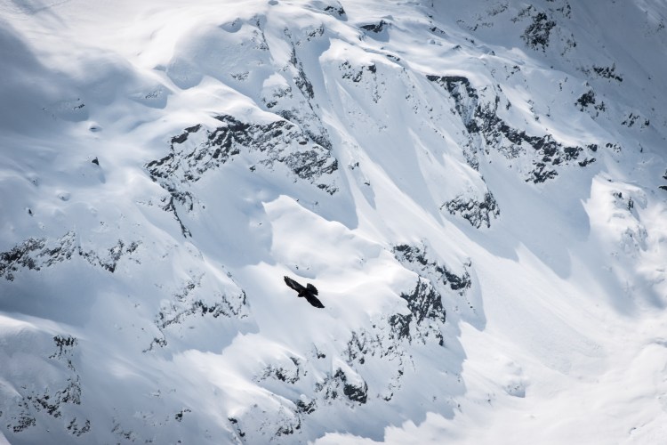 Titlis @ Easter 0324 - 20160328